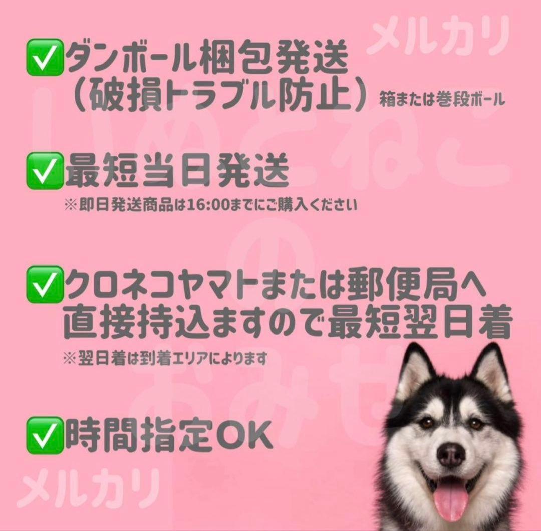 18kg★ニュートロ ナチュラルチョイス 超小型犬～中型犬 子犬用 チキン&玄米