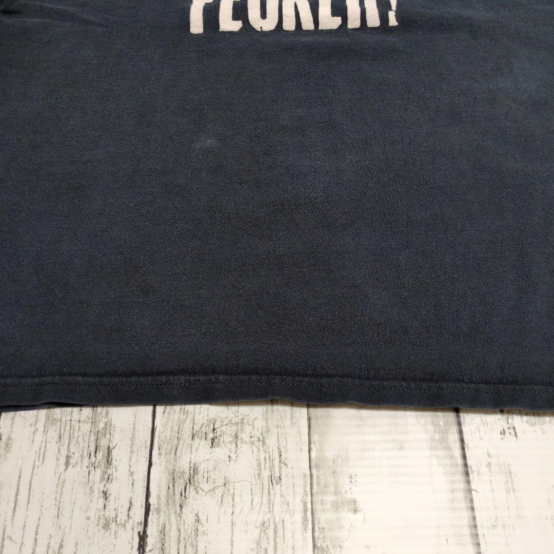 a*m様 アメリカ古着　フルーツオブザルーム　Tシャツ パロディ　アメカジ　フェ