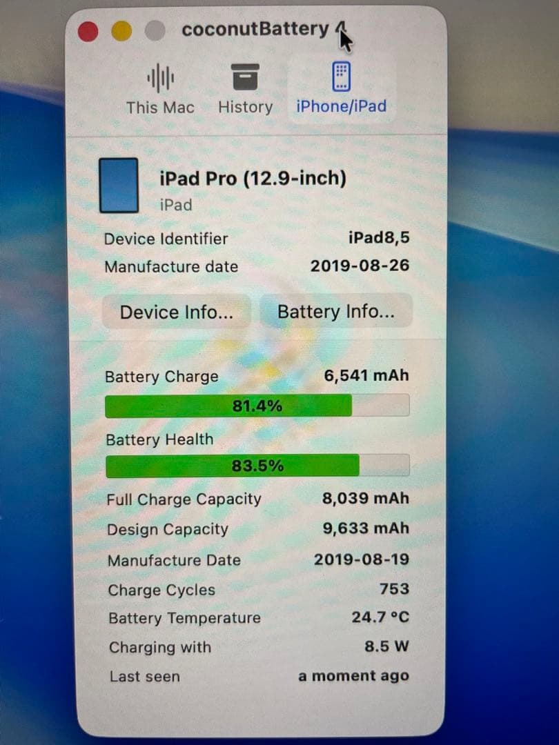 【ジャンク】iPad Pro 12.9インチ 64GB 2018 画面黄ばみあり