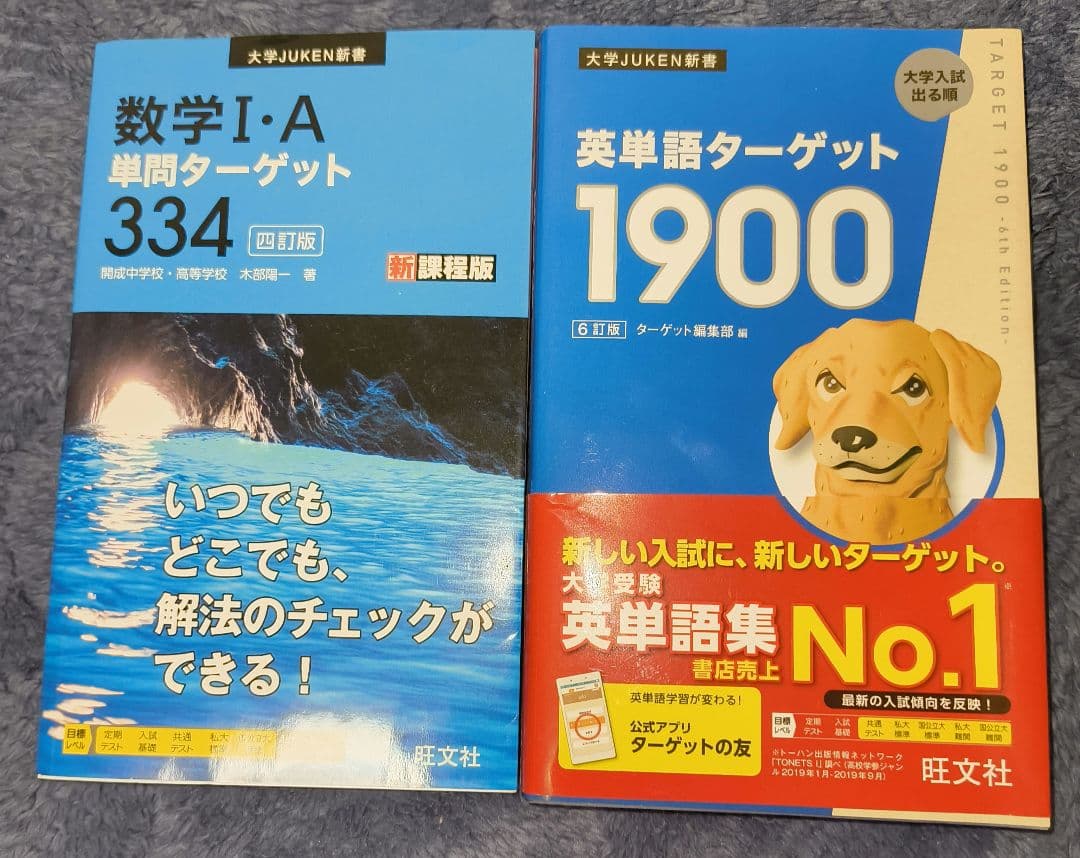 赤本 千葉大学 & 駿台共テ実践問題 +おまけ