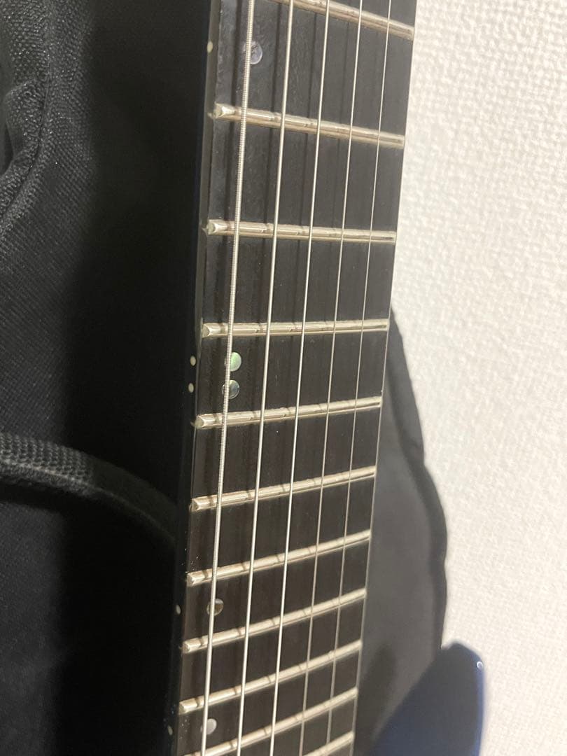 Edwards forest E-FR-130GT フォレスト ケース付 ESP