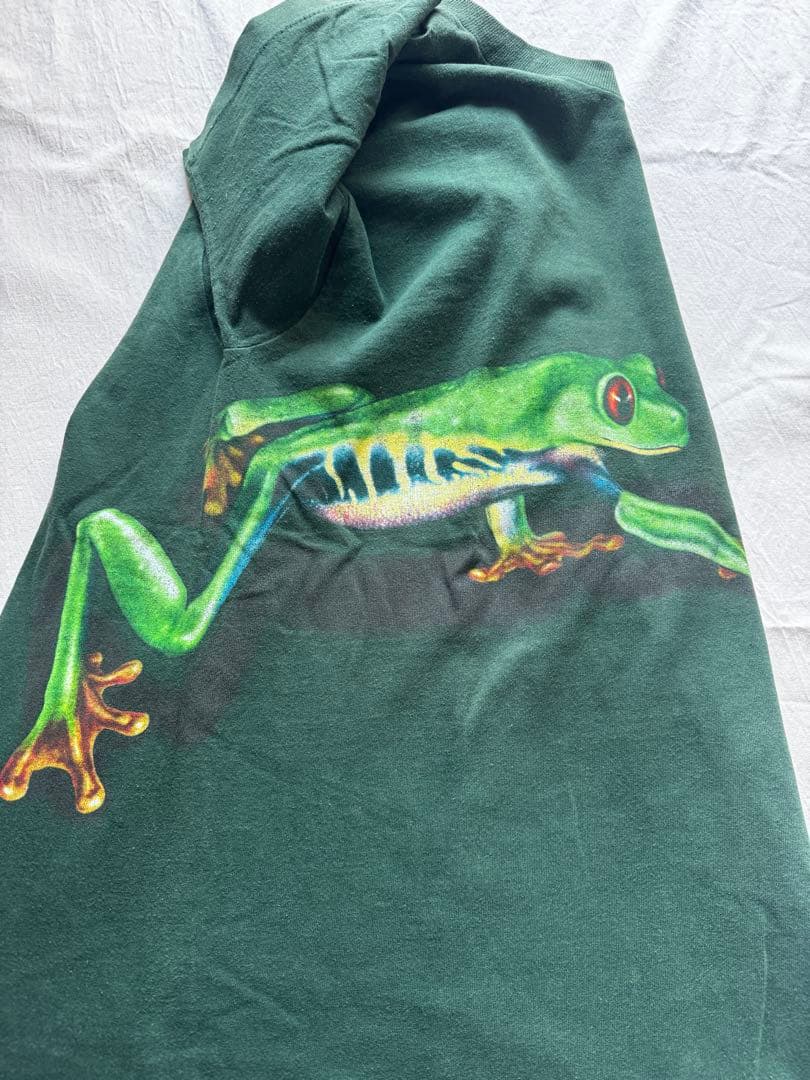 な*の様 90s　フルーツオブザルーム　カエル　蛙　Tシャツ　L usa製