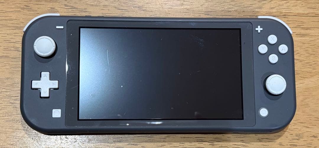 Nintendo Switch Lite グレー 本体 SDカード、充電器付き
