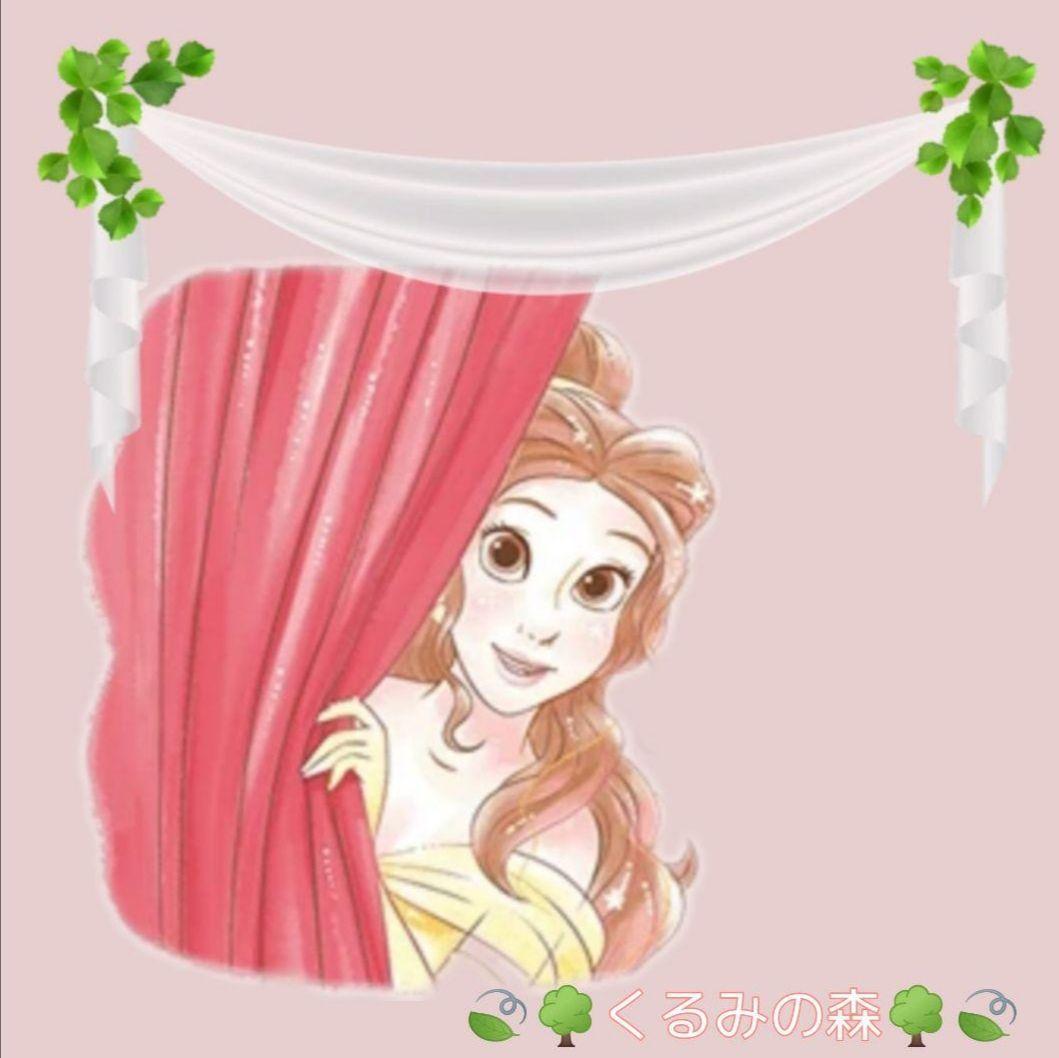 ma❤︎さま特注品♥のれん風カフェカーテン♡コクリコ花柄 北欧 合計5枚