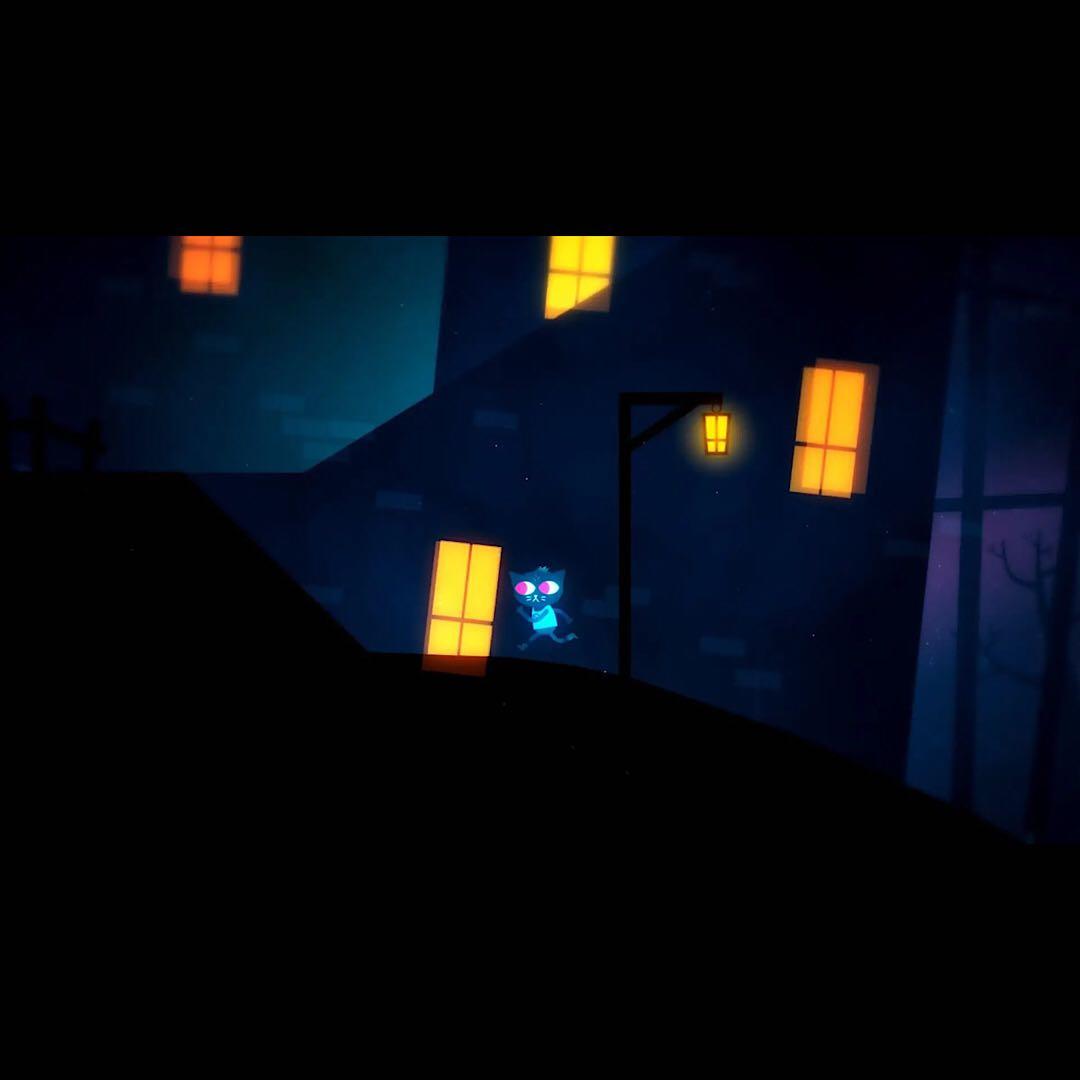 ナイト・イン・ザ・ウッズ Night in the Woods switch