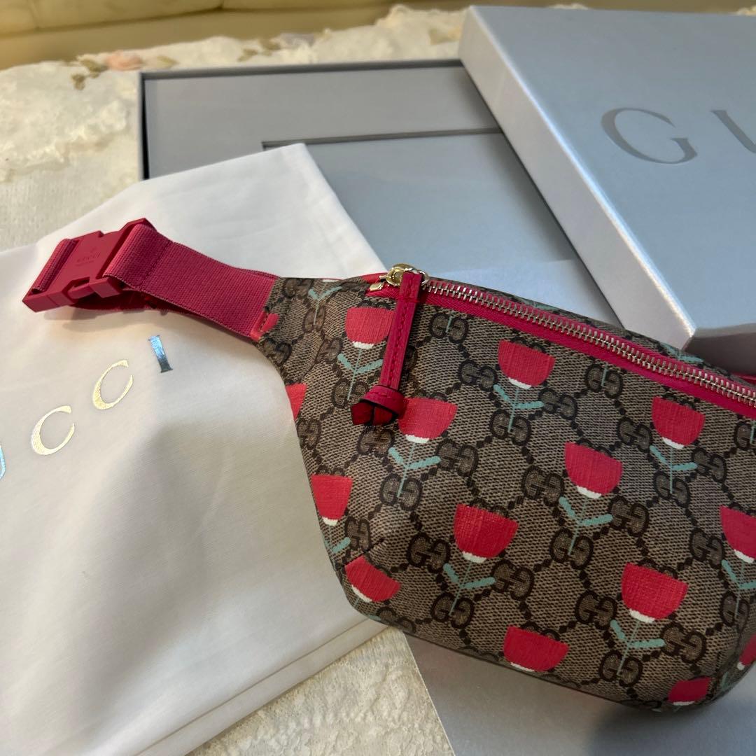 ●最終価格●GUCCI ボディバッグ 斜め掛けバッグ2way レディース用お嬢様