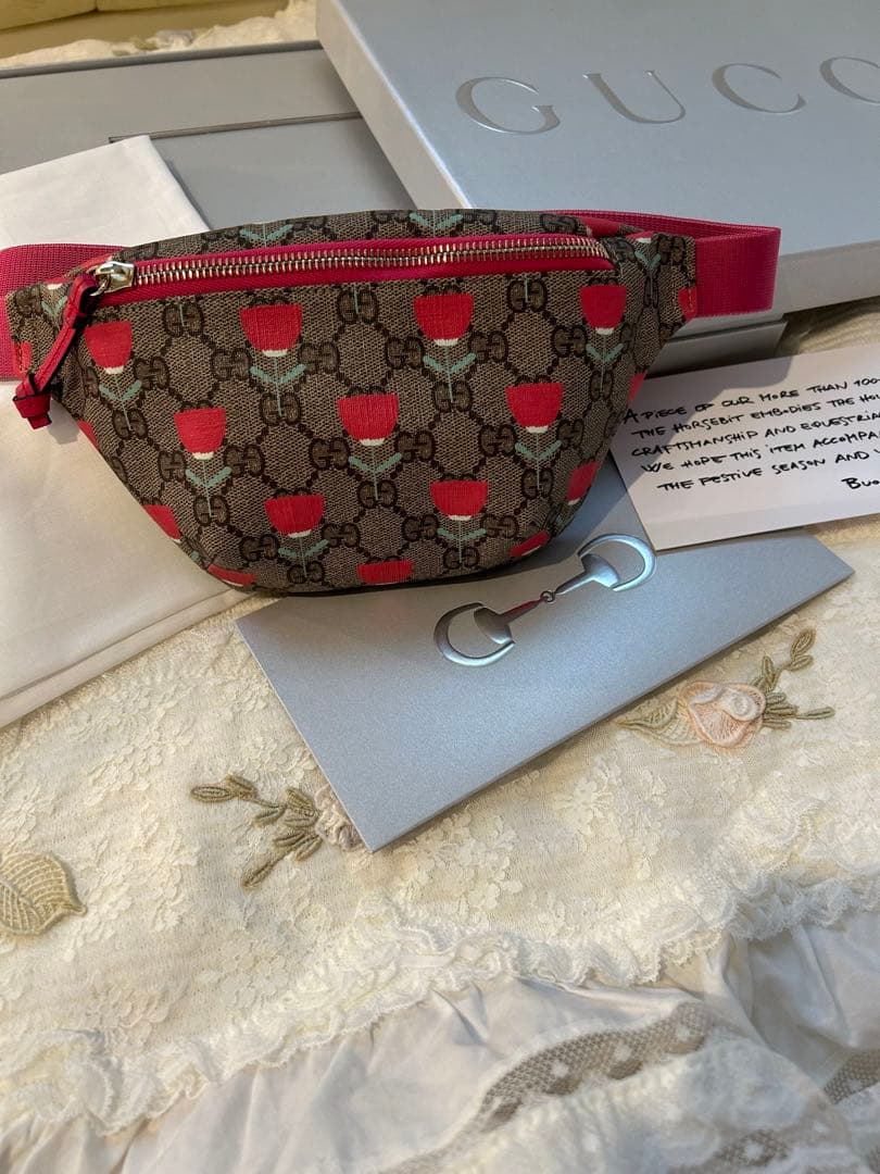 ●最終価格●GUCCI ボディバッグ 斜め掛けバッグ2way レディース用お嬢様