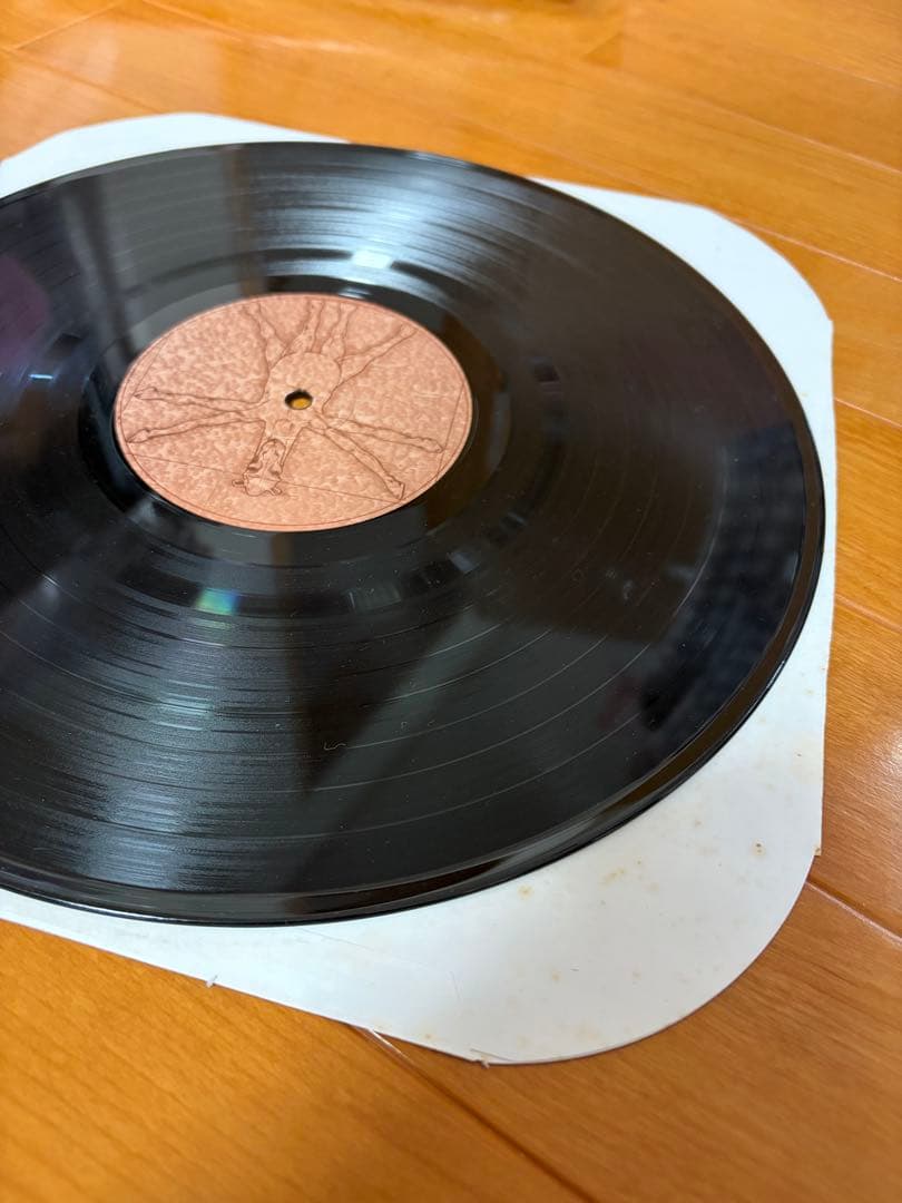 中古レコードFrenzal Rhomb A Man's Not a Camel