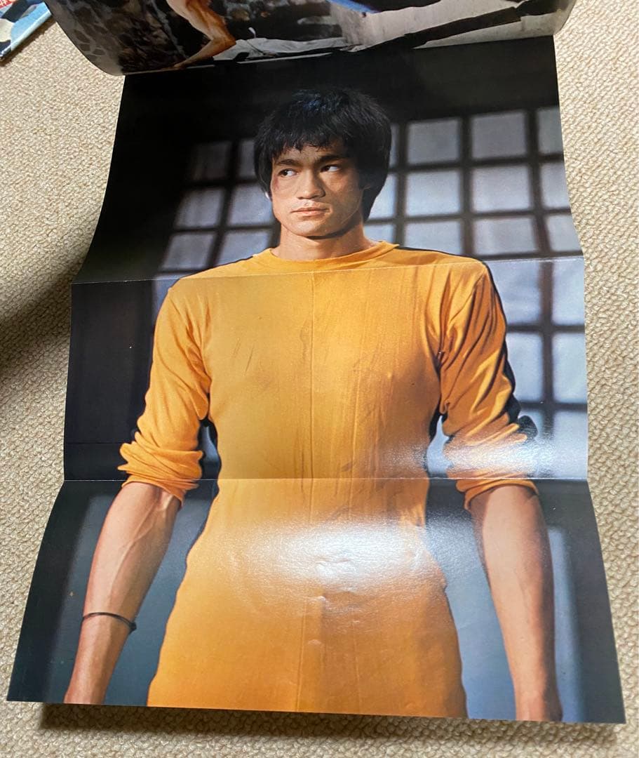 ブルース・リー　雑誌　ポスター　まとめ売り　李小龍　燃えよドラゴン　死亡遊戯