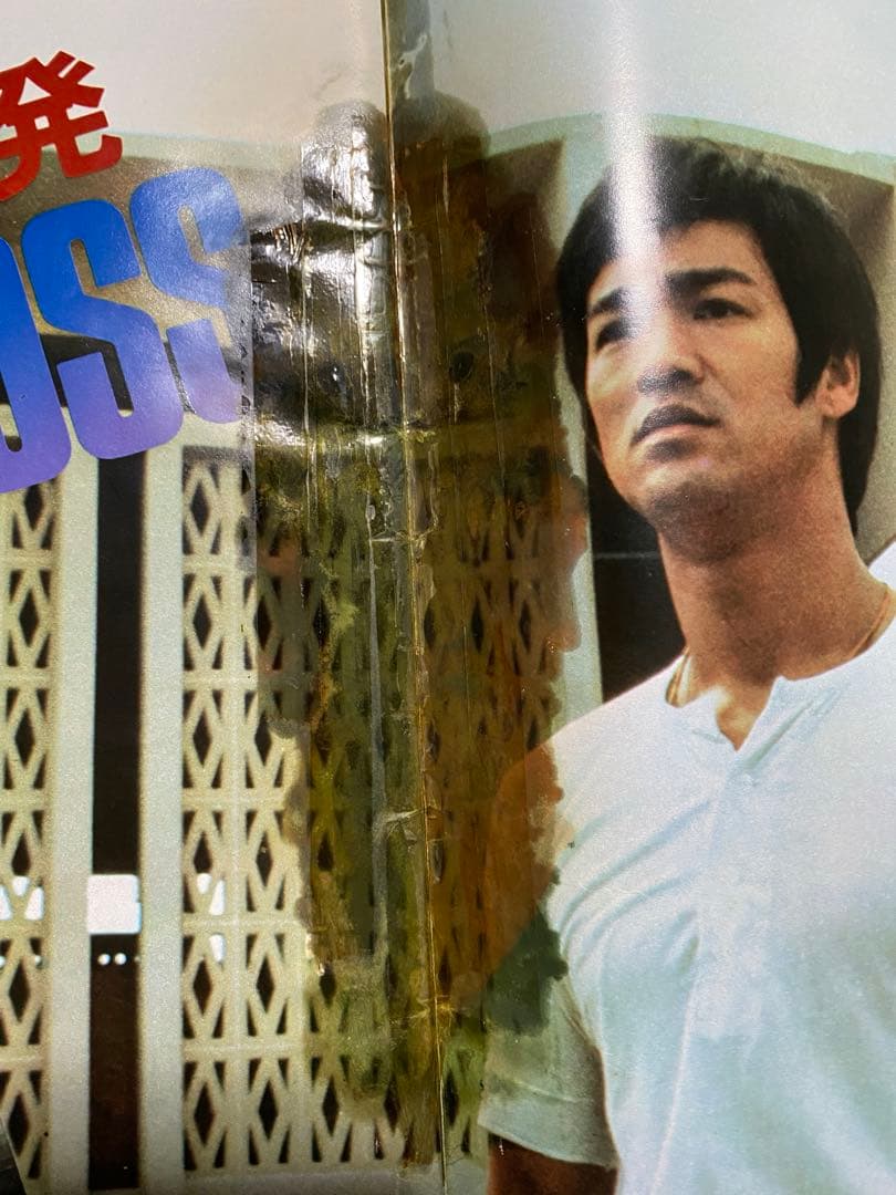 ブルース・リー　雑誌　ポスター　まとめ売り　李小龍　燃えよドラゴン　死亡遊戯