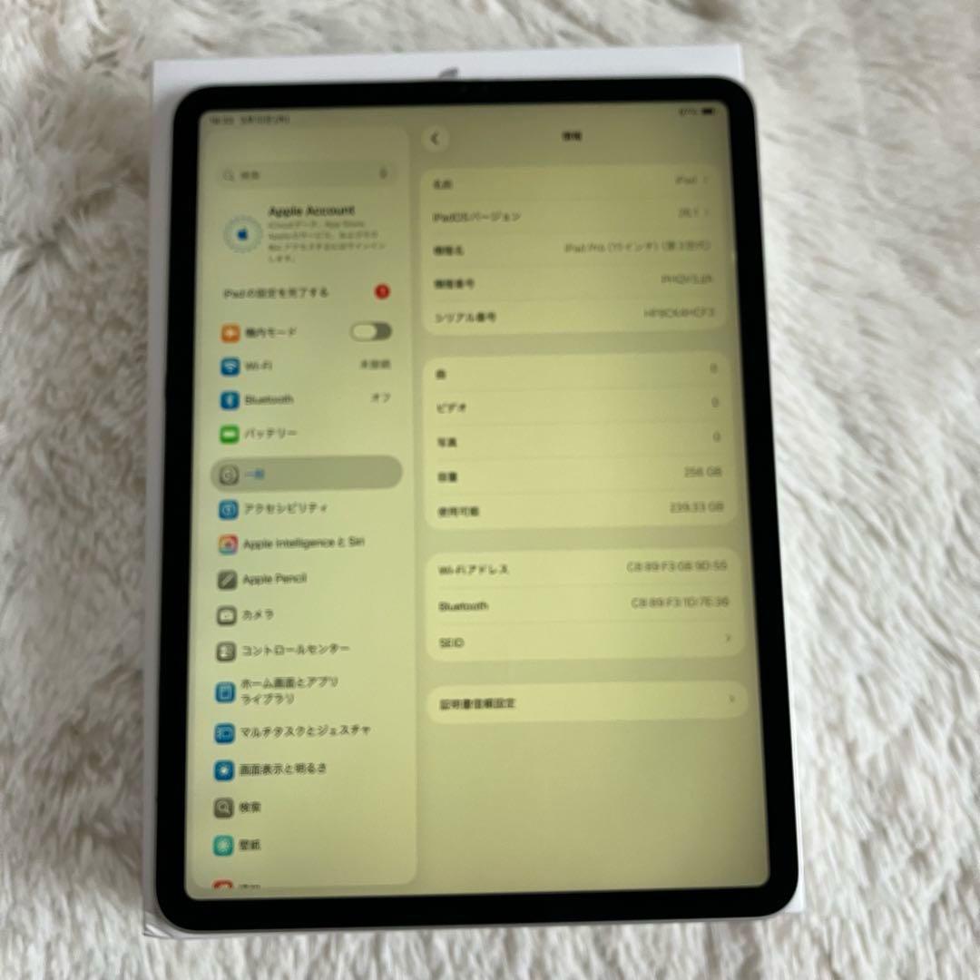 【完動品】iPad Pro 11インチ 256GB 【すぐ発送】