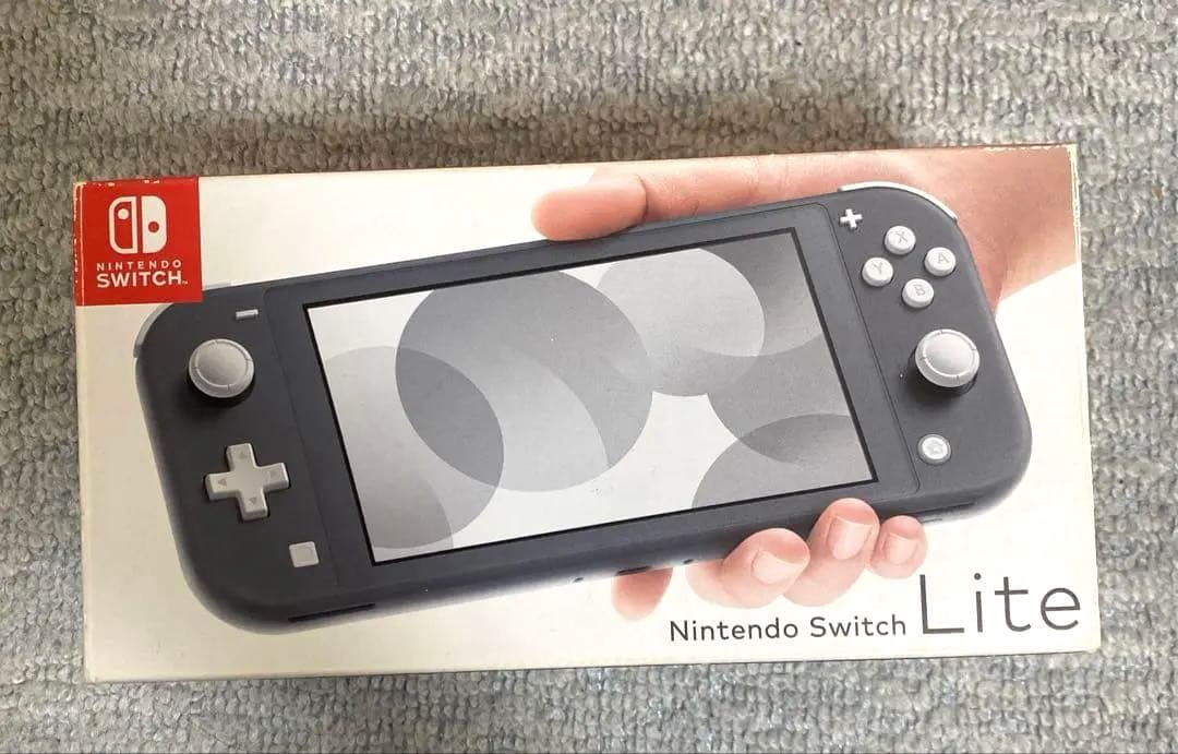 Nintendo Switch Lite 本体　ケース充電器付き