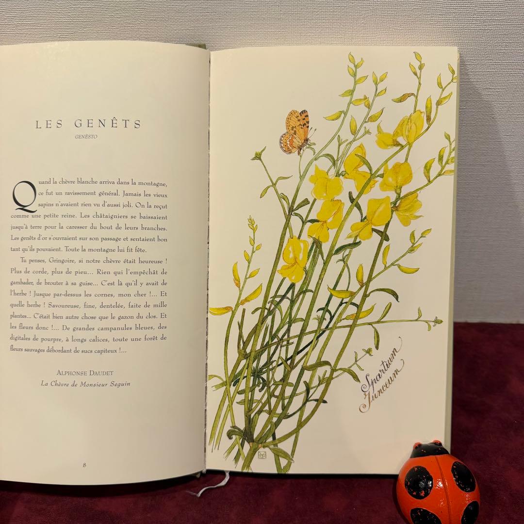 ❤️訳ありセール331①2001年フランスのロマンチック植物水彩画集　洋書古書