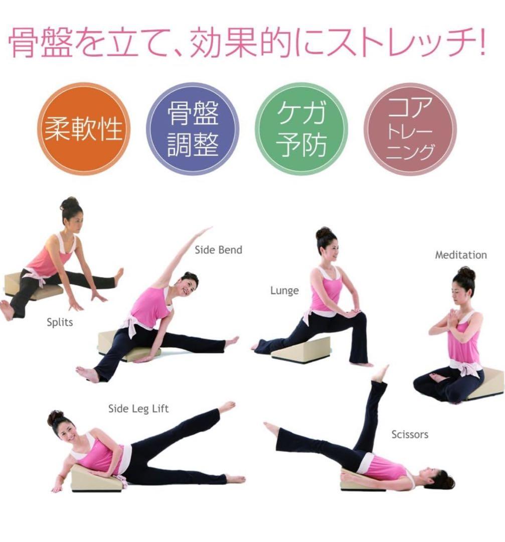 【3/18までの価格】フレックスクッション　サンテプラス　黒