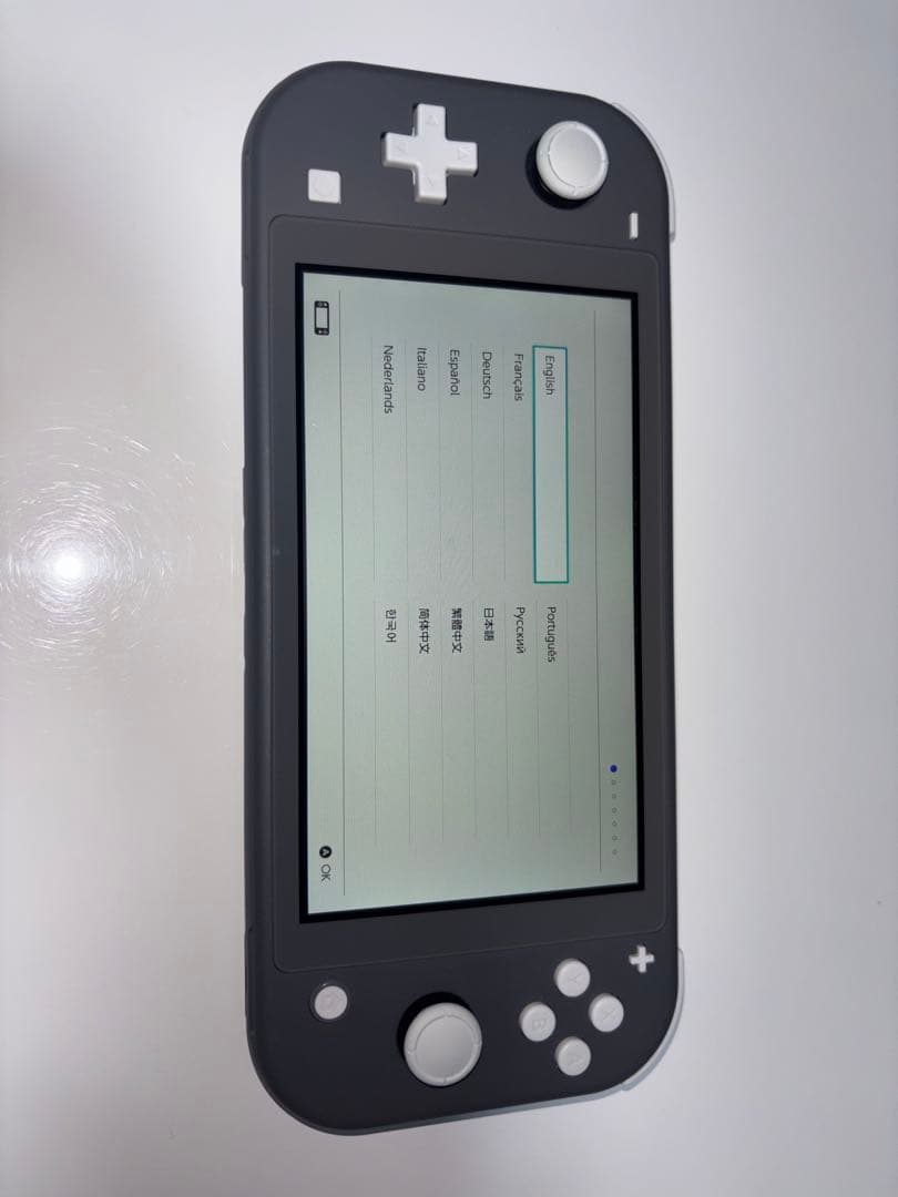 Nintendo Switch Lite 本体 ブラック　箱、充電器