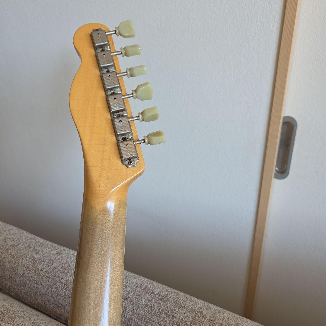 ギター BRUNO GUITARS TN-295
