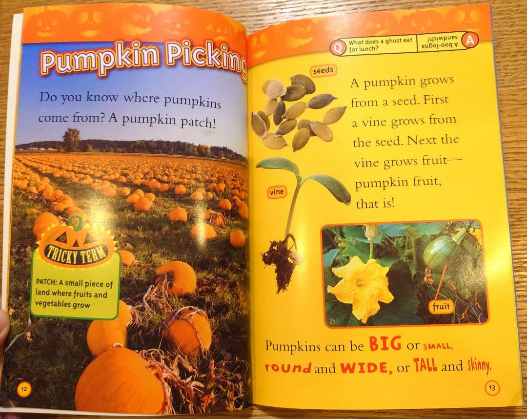 美品 National Geographic Kids L1/31冊 英語 絵本