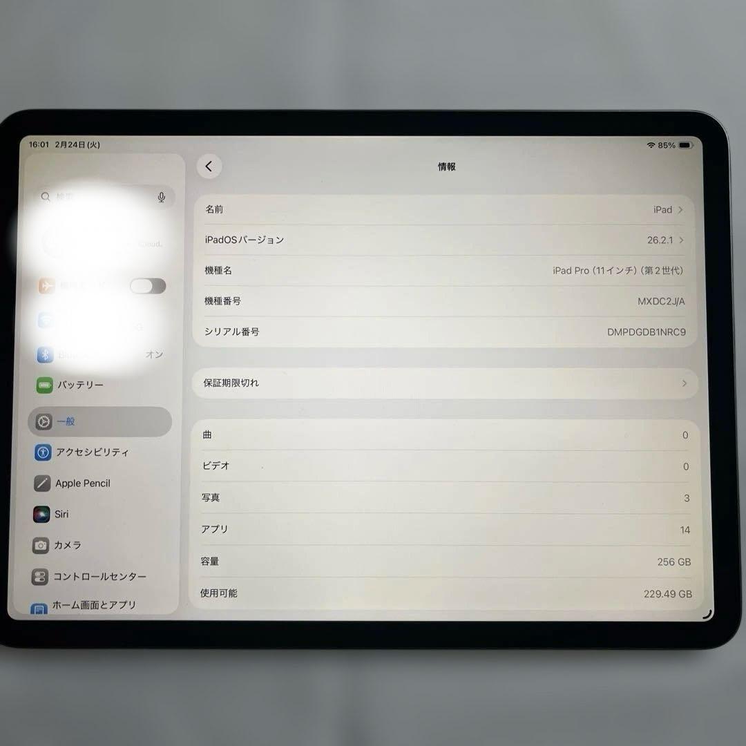Apple iPad Pro（第2世代）11インチwifi 256GB おまけ付