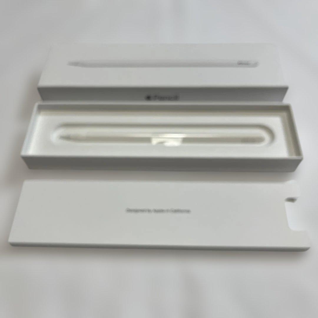 Apple iPad Pro（第2世代）11インチwifi 256GB おまけ付