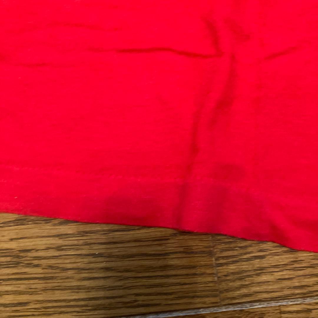 Patagonia 80s 70s tシャツ　ビンテージ