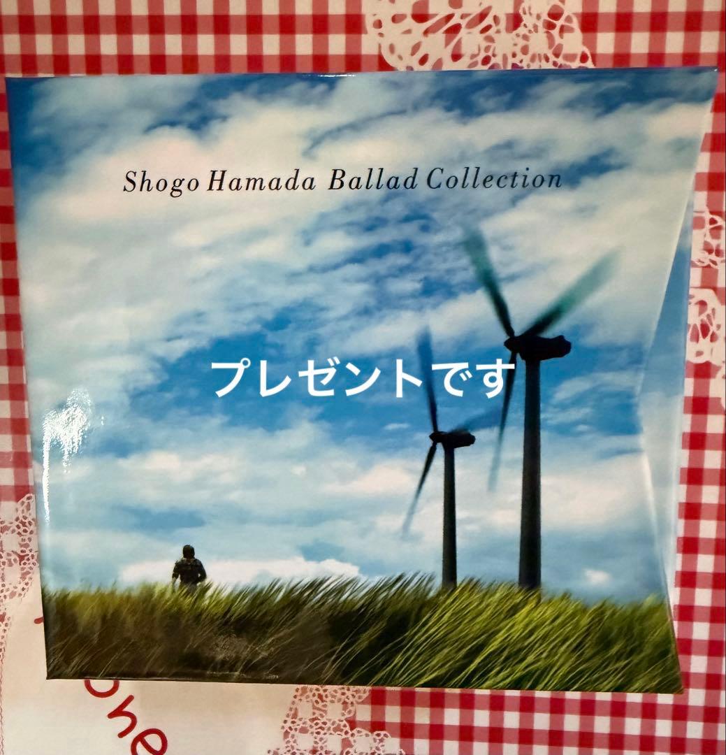 【初回限定版未使用品浜田省吾Blu-ray&DVDコレクション14枚プレゼント付