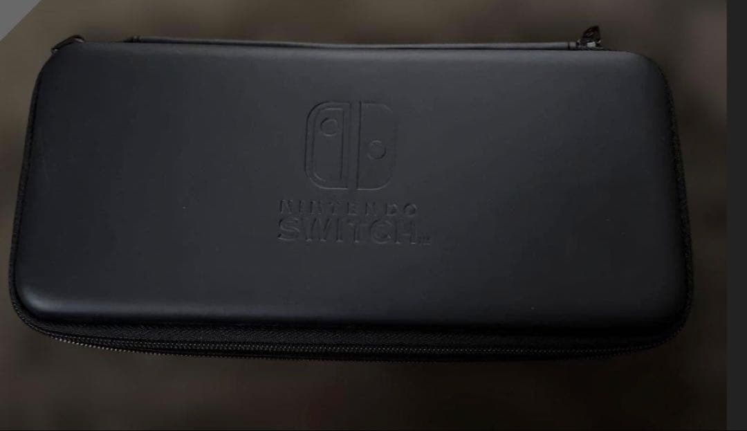 動作確認済 Nintendo Switch 本体 その他付属品 ケース付