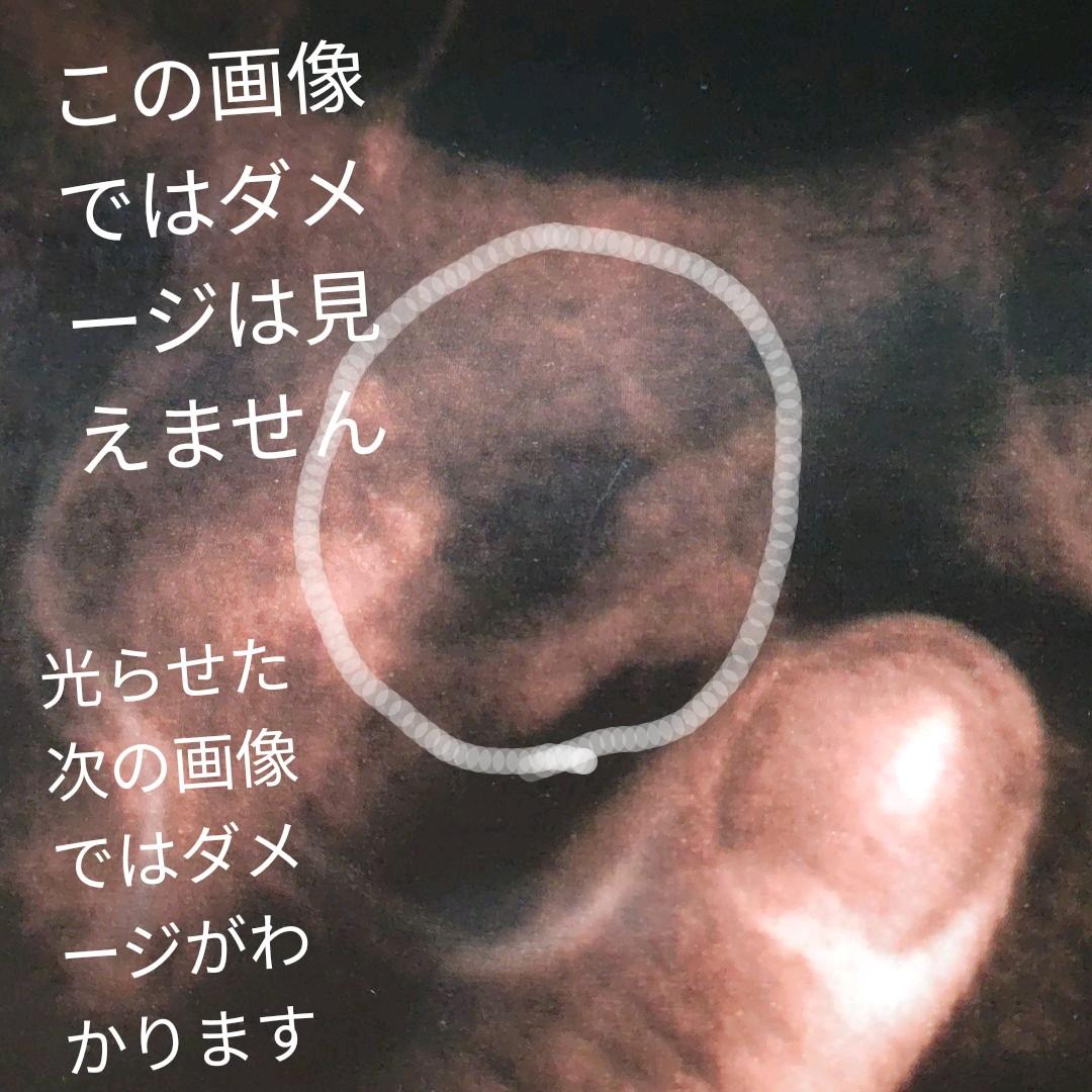 長渕剛　ふざけんじゃねえ　新品　店頭告知ポスター　送料込み　当時物　店舗保管品