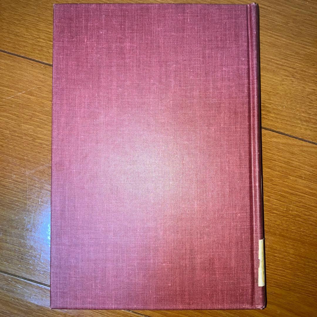 洋書 THE THEORY OF American Literature
