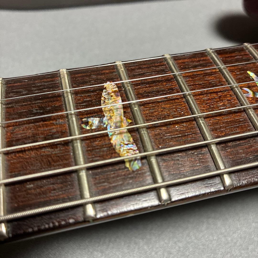 PRS 20th Custom 24 Artist Package キルト