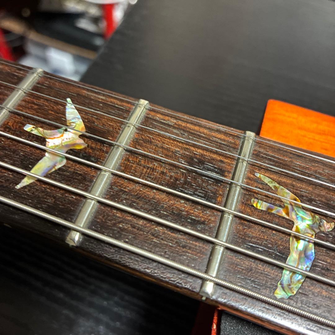 PRS 20th Custom 24 Artist Package キルト