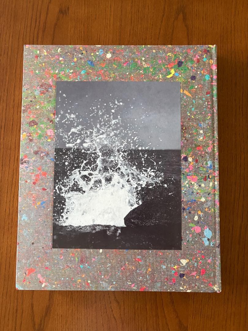 DamienHirst/WheretheLandMeetstheSeaダミアン