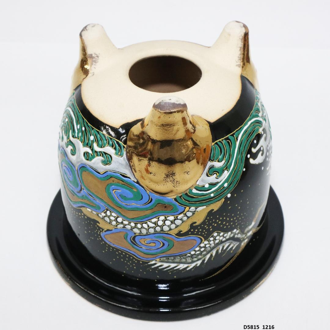 万年青鉢 錦鉢 龍 盆栽