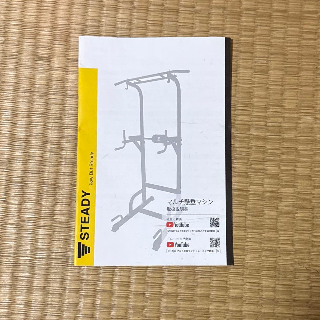 STEADY 懸垂 懸垂マシン
