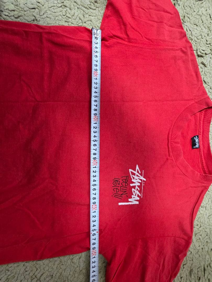 だ*な様 Stussy ラスタライオン　長渕剛　菅田将暉　着用　ステューシー