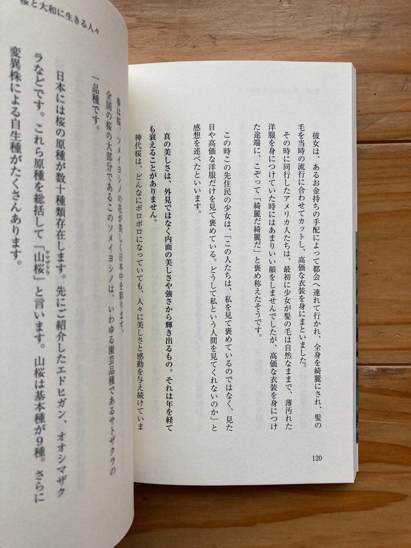 光の魂たち 植物編