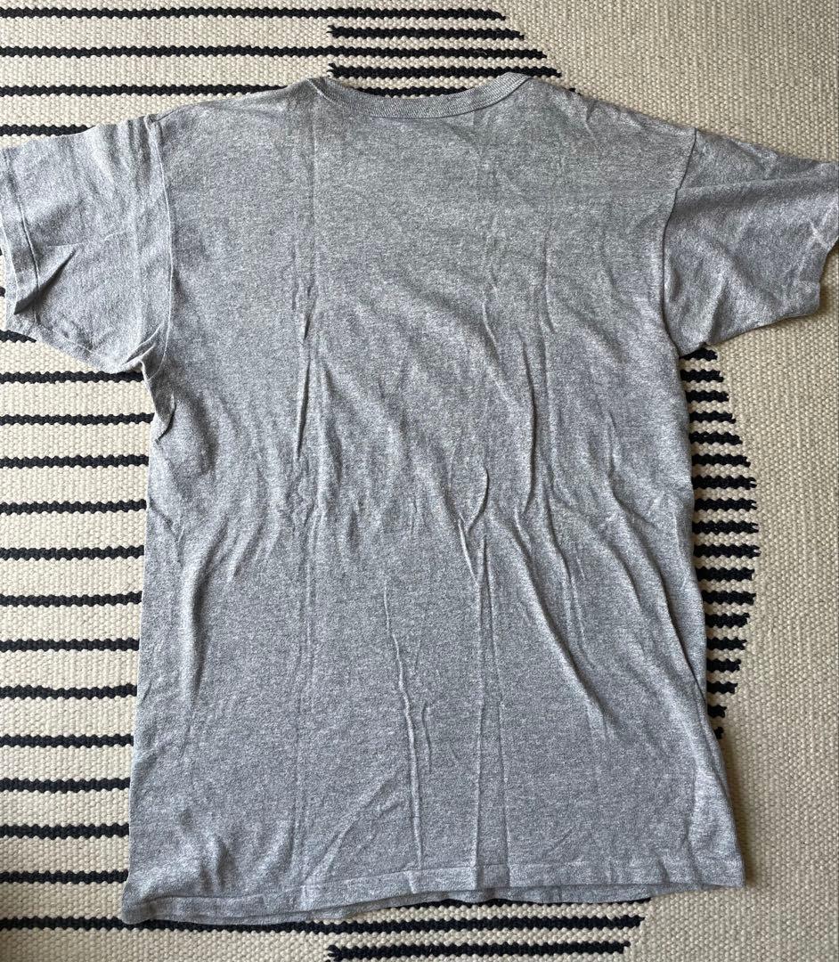 Champion Princeton Tシャツ トリコ　80s