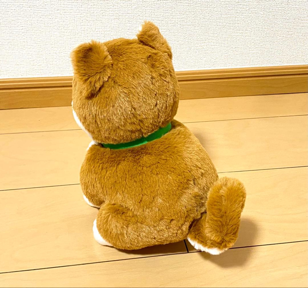 【美品】こんにちワン！しばいぬコウタ　バンダナつきセット