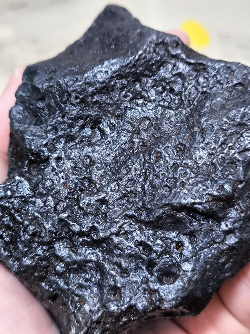ナンタン隕石 約1.57kg 鑑別書付 極上品質 良型 鉄隕石