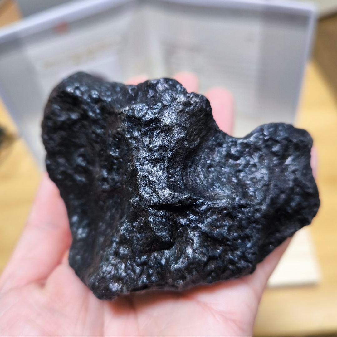 ナンタン隕石 約1.57kg 鑑別書付 極上品質 良型 鉄隕石