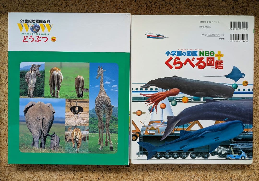 図鑑まとめ売り　お受験　小学校受験　「常識」ジャンル対策