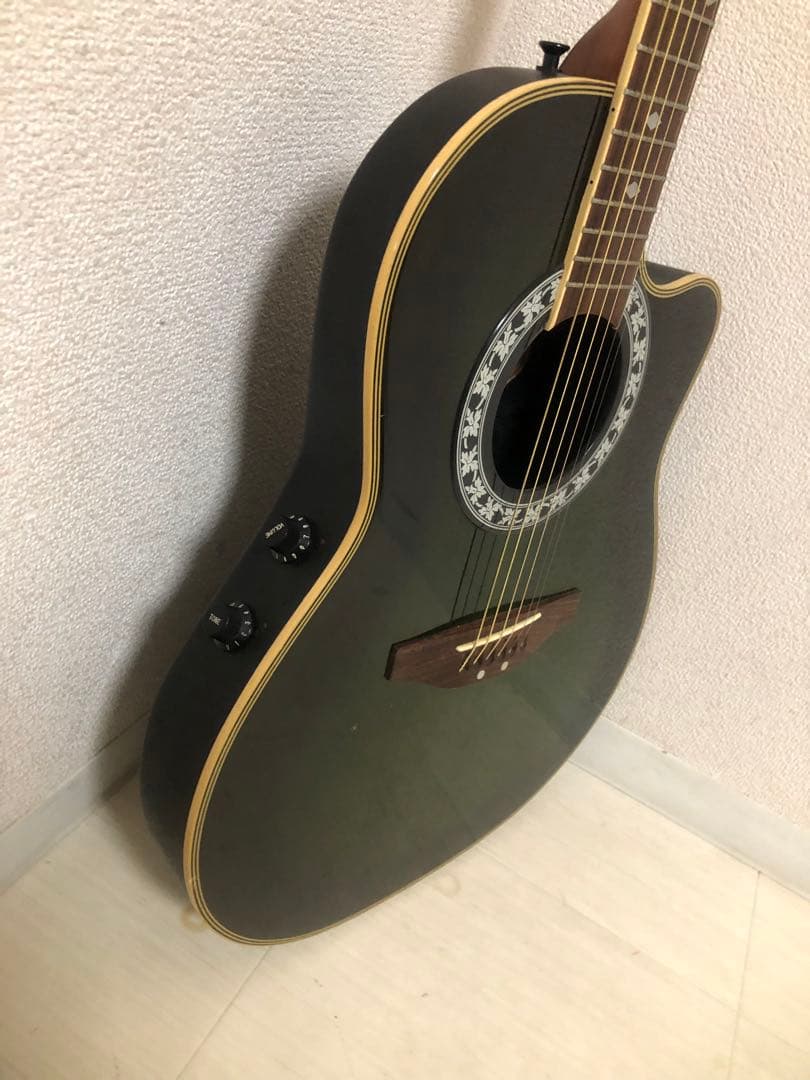 ReedMan RM-401 エレアコ　リードマン