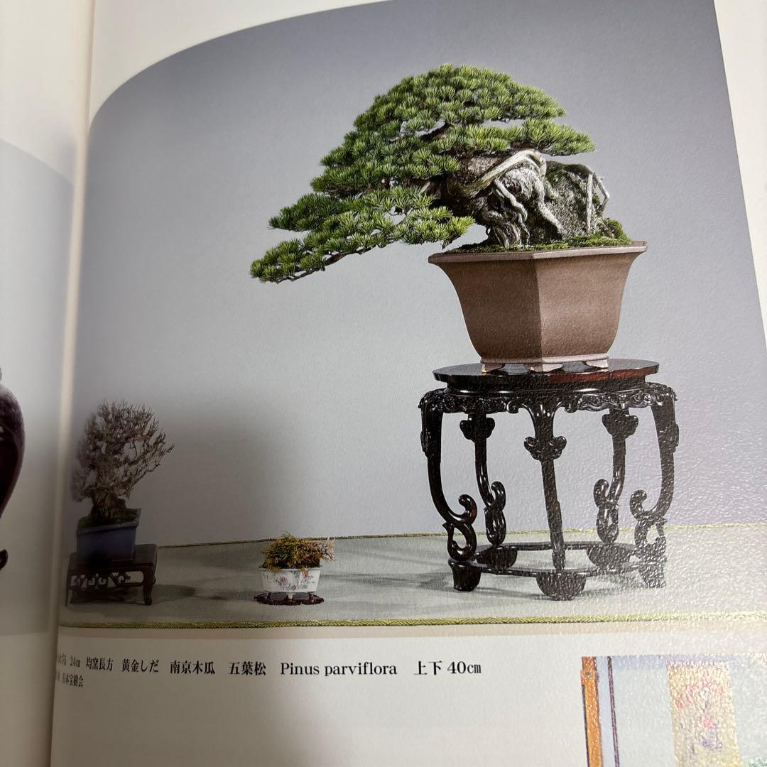 日本大宝樹展 盆栽資料(写真集)