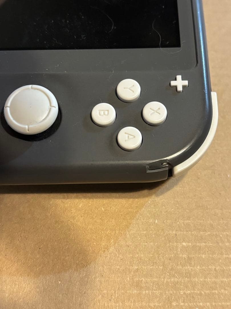 Nintendo Switch Lite + ポケットモンスターZA