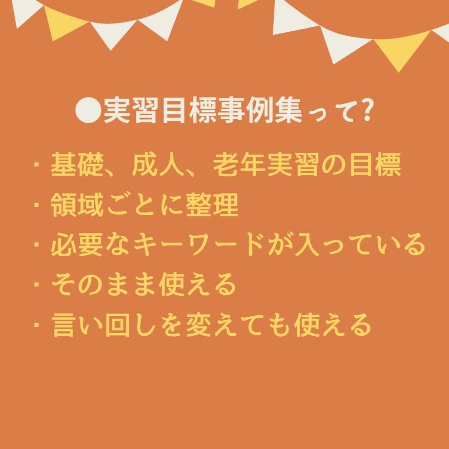 【アセスメントも！個別性も！】看護実習まるごとセット★実習メモ★計画★目標など