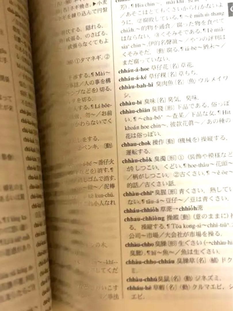 東方台湾語事典　台灣　臺灣　台灣華語　臺灣華語　台湾華語　マンダリン
