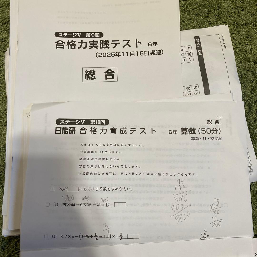 最新版★2025 日能研 6年後期 合格力育成テスト合格力実践テスト 11回分
