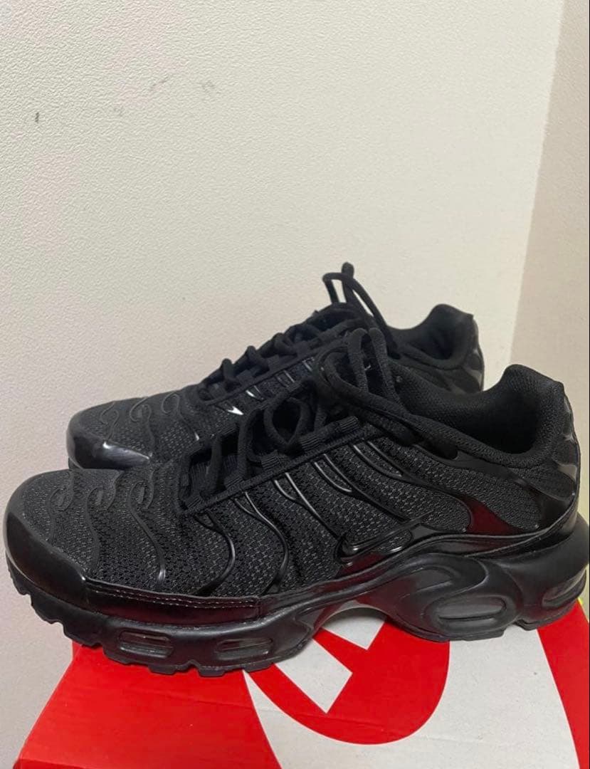 チ*☆様 Nike Air Max Plus