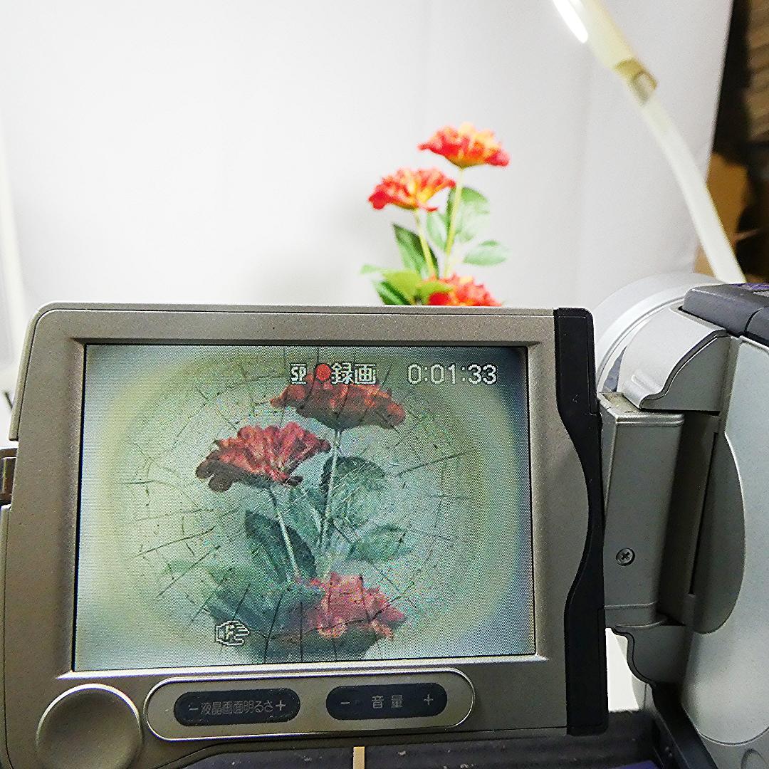 動作品 ソニーDCR-TRV30 MiniDV ビデオカメラDVDダビングに最適