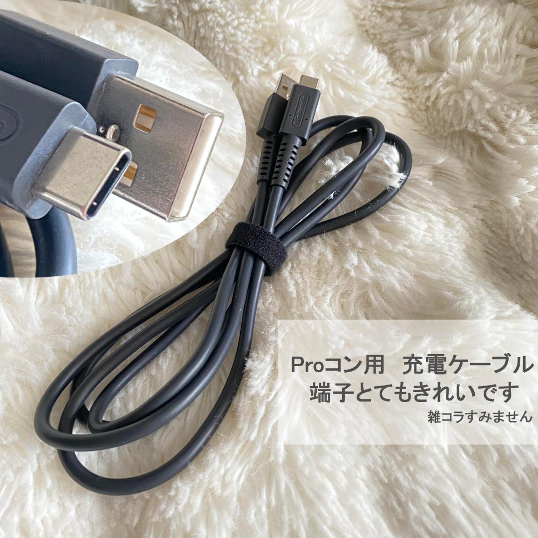 フ*物様 Nintendo Switch あつまれ どうぶつの森　セット