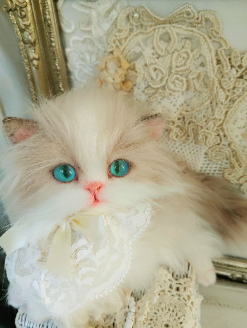 ラグドール♡美人猫♡生後6ヶ月子猫ちゃん♡アートドール♡ぬいぐるみ♡